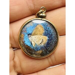 Gold real butterfly pendant .